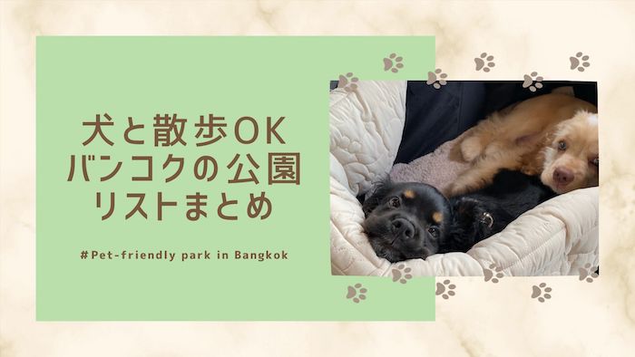 【ペットOK】バンコクの犬と一緒に散歩できる公園17選 【もふもふ天国】